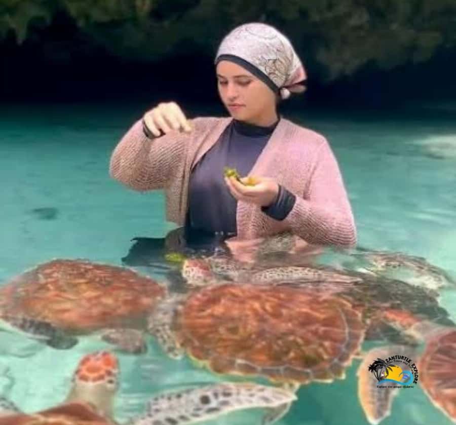 Zanzibar: Swimming with Turtles at Salaam Cave Aquarium - Should you book Salaam Cave Aquarium?