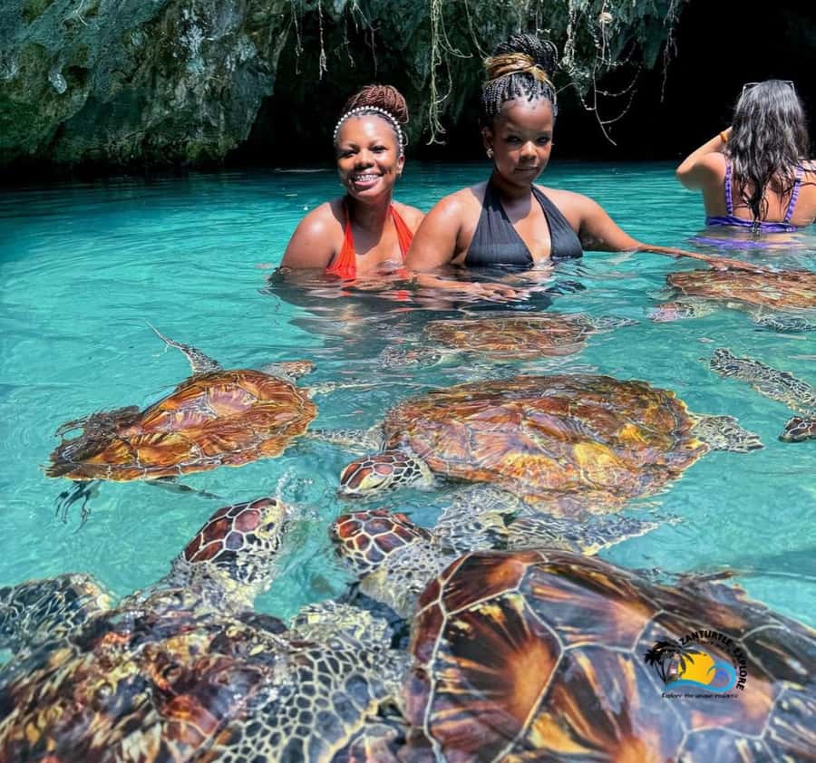 Zanzibar: Swimming with Turtles at Salaam Cave Aquarium - What Salaam Cave Aquarium is really like