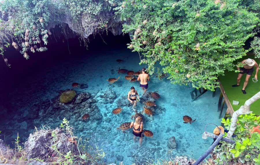 Zanzibar: The Rock, Paje Beach, Jozani Forest, Salaam Cave - How long the day feels in practice