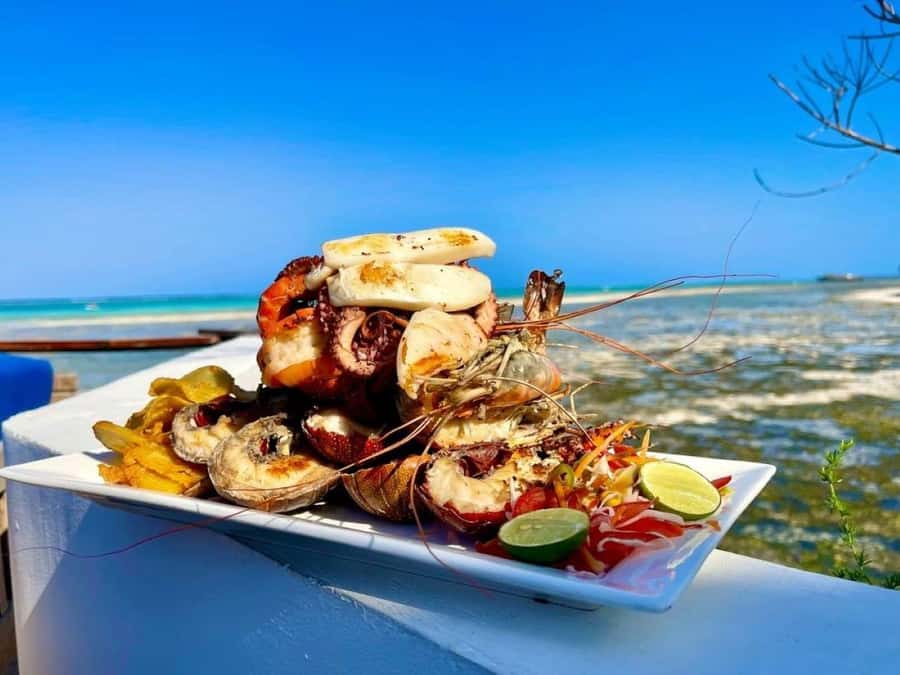 Zanzibar: The Rock, Paje Beach, Jozani Forest, Salaam Cave - Jozani Forest and Zanzibar’s red colobus monkeys