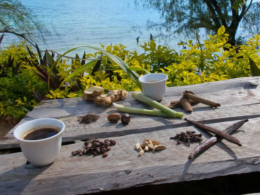 Zanzibar: The Swahili Spice Experience - Spice Tour + Culinary Journey - Guessing your way through Kidichi Spice Farms