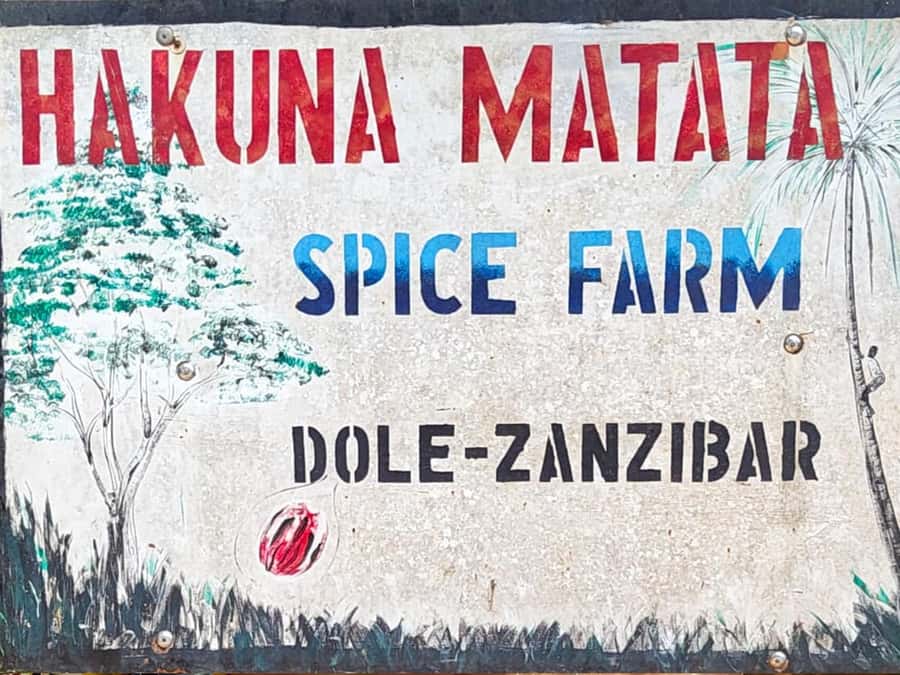Zanzibar: The Swahili Spice Experience - Spice Tour + Culinary Journey - Is $21 good value?