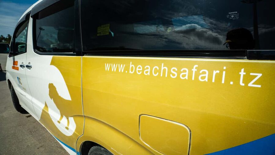 Zanzibar: Tumbatu Island Private Snorkeling Adventure Tour - Coral, fish, turtles, and realistic expectations